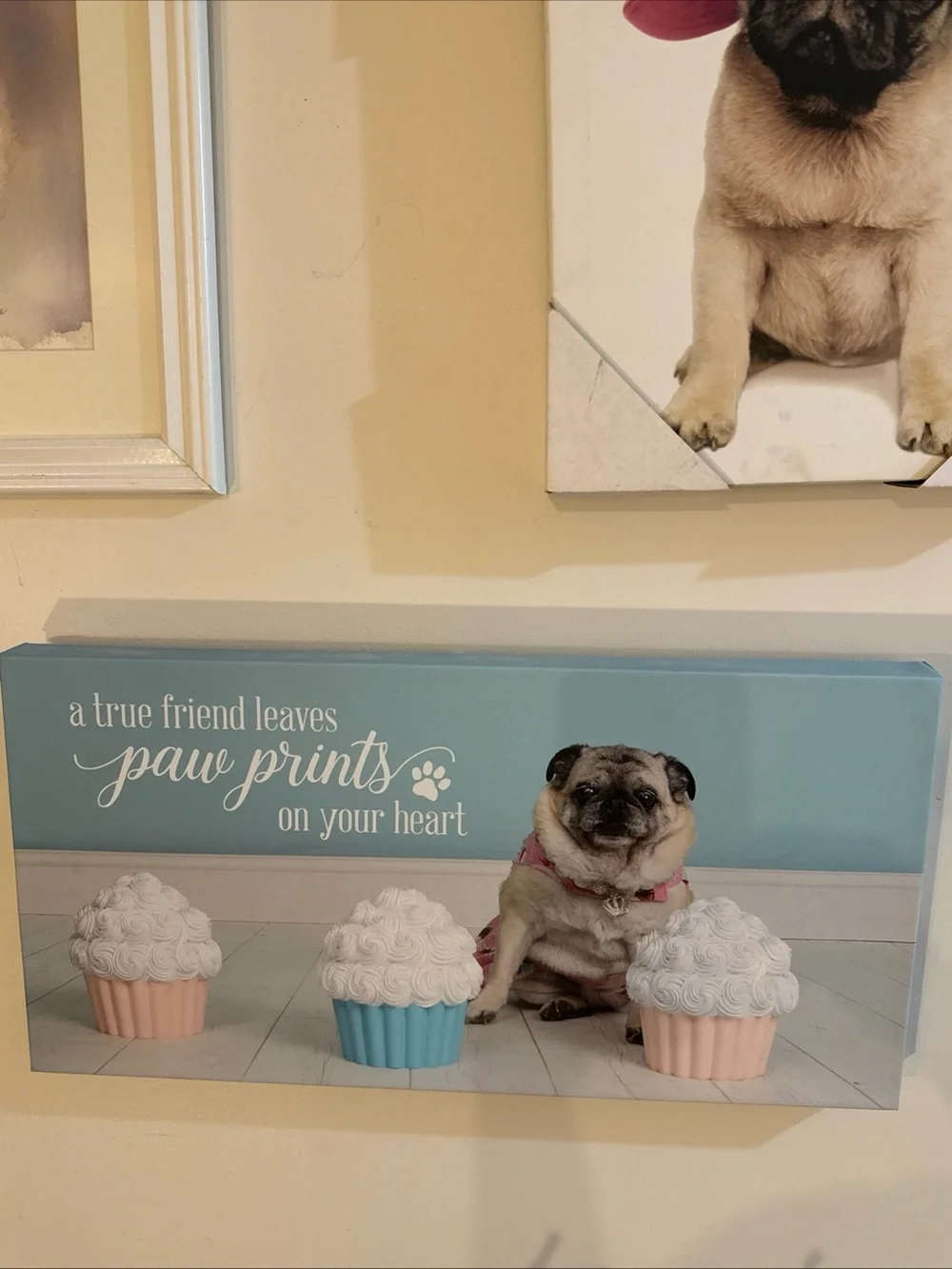 Framed Pet Canvas Wall Art – Pug Portraits in Black & Pink